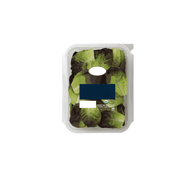 Organic Spring Mix