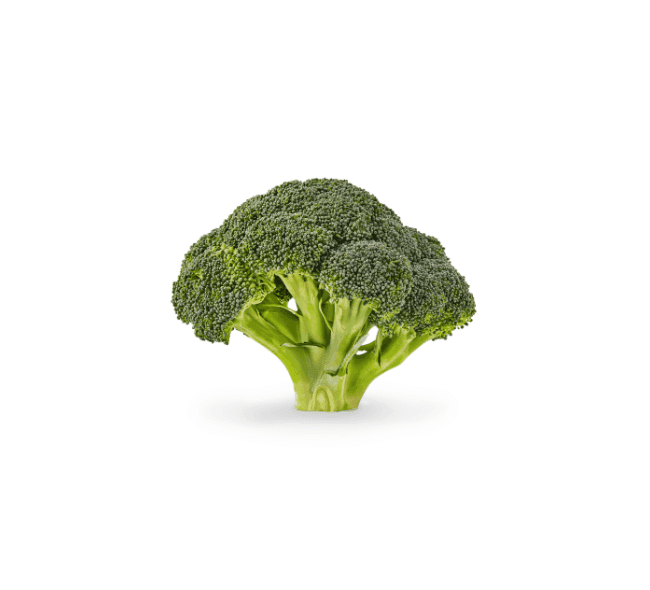 Fresh Organic Broccoli
